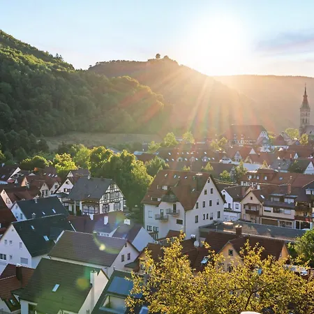 7schwaben - 7 Vollausgestattete Unter Einem Dach Mitten In - Kueche - Bad - Wlan - Waschmaschine - Kostenloses Parken - E-bike-garage Mit Ladestation - Altstadt, Bus, Bahn, E-ladestation Unter 5 Min - Barrierefrei - Rollstuhlgerec バート・ウーラッハ